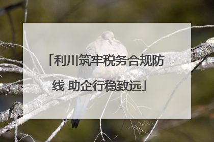 利川筑牢税务合规防线 助企行稳致远