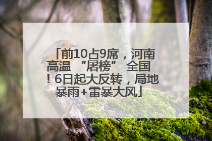 前10占9席，河南高温 “屠榜” 全国！6日起大反转，局地暴雨+雷暴大风