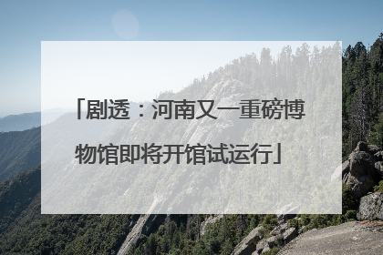 剧透：河南又一重磅博物馆即将开馆试运行