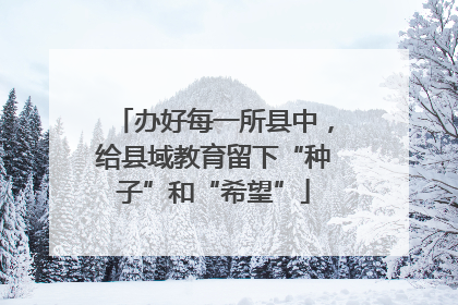 办好每一所县中，给县域教育留下“种子”和“希望”