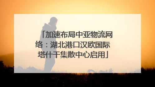 加速布局中亚物流网络：湖北港口汉欧国际塔什干集散中心启用