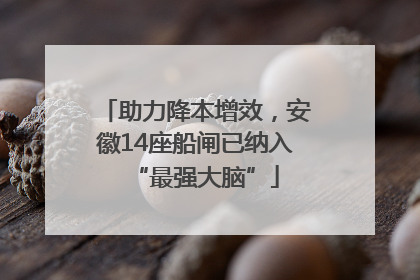 助力降本增效，安徽14座船闸已纳入“最强大脑”
