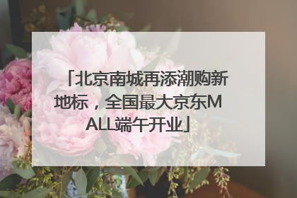 北京南城再添潮购新地标，全国最大京东MALL端午开业