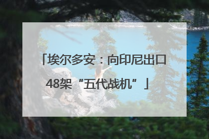 埃尔多安：向印尼出口48架“五代战机”