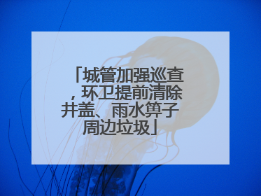 城管加强巡查，环卫提前清除井盖、雨水箅子周边垃圾