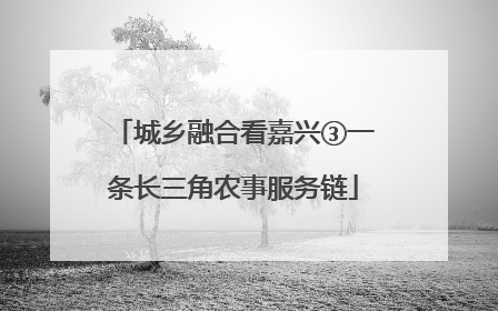 城乡融合看嘉兴③一条长三角农事服务链