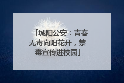 城阳公安：青春无毒向阳花开，禁毒宣传进校园