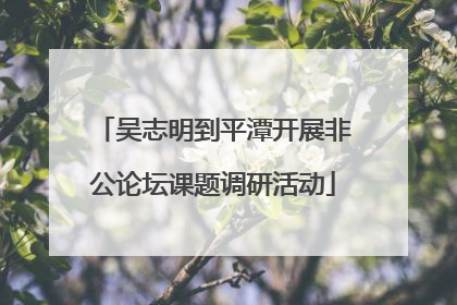 吴志明到平潭开展非公论坛课题调研活动
