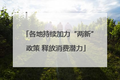 各地持续加力“两新”政策 释放消费潜力
