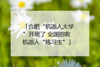 合肥“机器人大学”开班了 全国招收机器人“练习生”