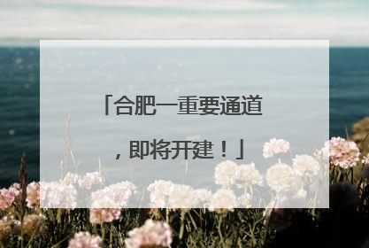 合肥一重要通道，即将开建！