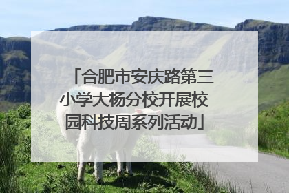 合肥市安庆路第三小学大杨分校开展校园科技周系列活动