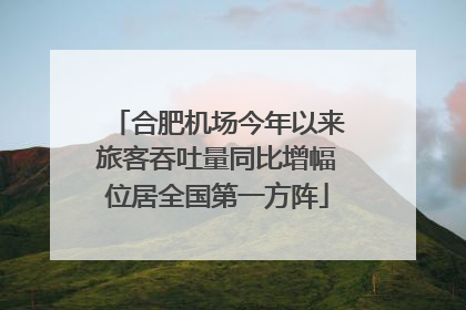合肥机场今年以来旅客吞吐量同比增幅位居全国第一方阵
