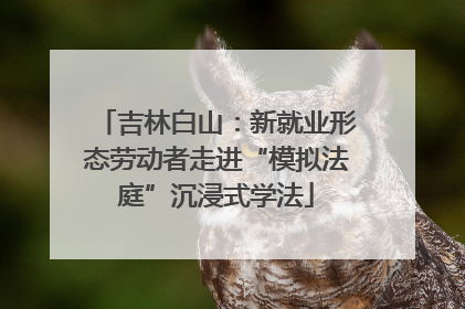 吉林白山：新就业形态劳动者走进“模拟法庭”沉浸式学法