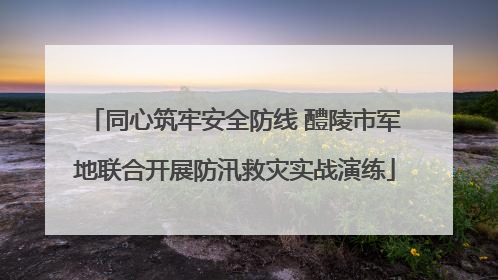 同心筑牢安全防线 醴陵市军地联合开展防汛救灾实战演练