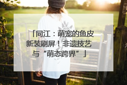 同江：萌宠的鱼皮新装刷屏！非遗技艺与“萌态跨界”