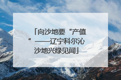向沙地要“产值”——辽宁科尔沁沙地兴绿见闻