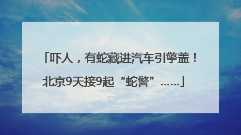 吓人，有蛇藏进汽车引擎盖！北京9天接9起“蛇警”……