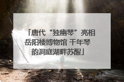 唐代“独幽琴”亮相岳阳楼博物馆 千年琴韵洞庭湖畔苏醒