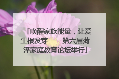 唤醒家族能量，让爱生根发芽——第六届菏泽家庭教育论坛举行