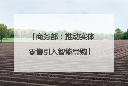 商务部：推动实体零售引入智能导购