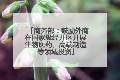 商务部：鼓励外商在国家级经开区开展生物医药、高端制造等领域投资