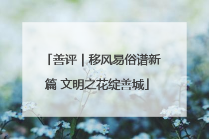 善评｜移风易俗谱新篇 文明之花绽善城
