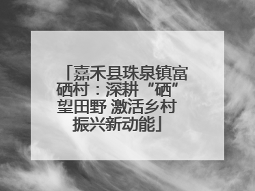 嘉禾县珠泉镇富硒村：深耕“硒”望田野 激活乡村振兴新动能