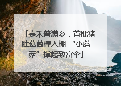 嘉禾普满乡：首批猪肚菇菌棒入棚 “小蘑菇”撑起致富伞
