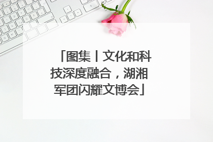 图集丨文化和科技深度融合，湖湘军团闪耀文博会