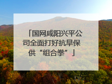 国网咸阳兴平公司全面打好抗旱保供“组合拳”