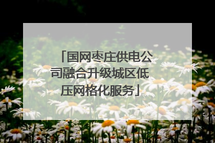 国网枣庄供电公司融合升级城区低压网格化服务