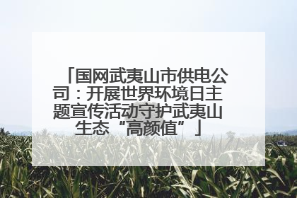 国网武夷山市供电公司：开展世界环境日主题宣传活动守护武夷山生态“高颜值”