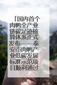 国内首个肉鸭全产业链碳足迹核算体系正式发布——泰安市肉鸭产业低碳发展标准示范项目顺利通过验收