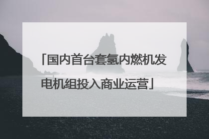 国内首台套氢内燃机发电机组投入商业运营