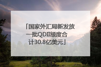 国家外汇局新发放一批QDII额度合计30.8亿美元