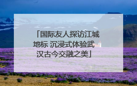 国际友人探访江城地标 沉浸式体验武汉古今交融之美