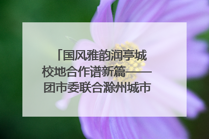 国风雅韵润亭城 校地合作谱新篇——团市委联合滁州城市职业学院助力传统文化“破圈”绽放