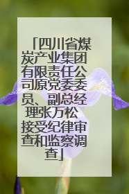 四川省煤炭产业集团有限责任公司原党委委员、副总经理张万松 接受纪律审查和监察调查