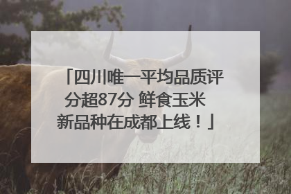 四川唯一平均品质评分超87分 鲜食玉米新品种在成都上线！
