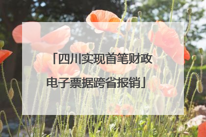 四川实现首笔财政电子票据跨省报销