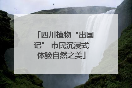 四川植物“出国记” 市民沉浸式体验自然之美