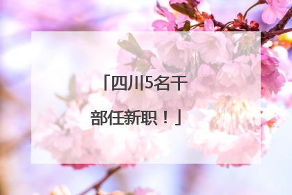 四川5名干部任新职！