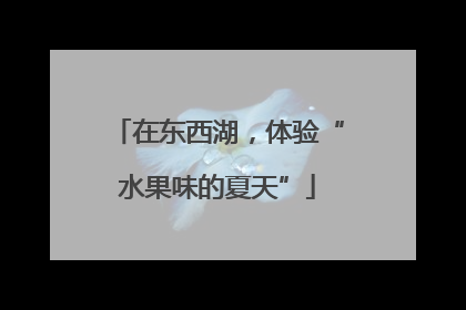 在东西湖，体验“水果味的夏天”