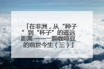 在非洲，从“种子”到“杯子”的遥远距离——一颗咖啡豆的前世今生（三）