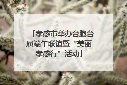 孝感市举办台胞台属端午联谊暨“美丽孝感行”活动