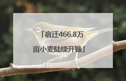 宿迁466.8万亩小麦陆续开镰