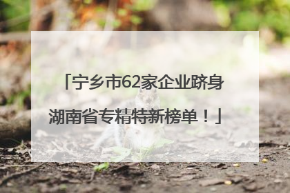 宁乡市62家企业跻身湖南省专精特新榜单！