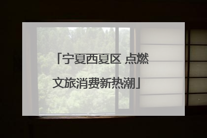宁夏西夏区 点燃文旅消费新热潮
