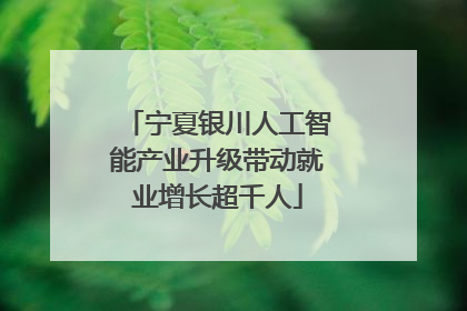 宁夏银川人工智能产业升级带动就业增长超千人